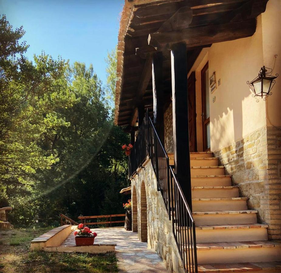 Willa Agriturismo Le Querce Di Asyż Zewnętrze zdjęcie